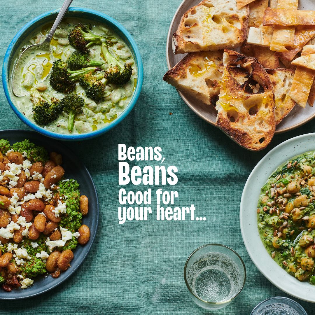 ALL THINGS: GUT HEALTH